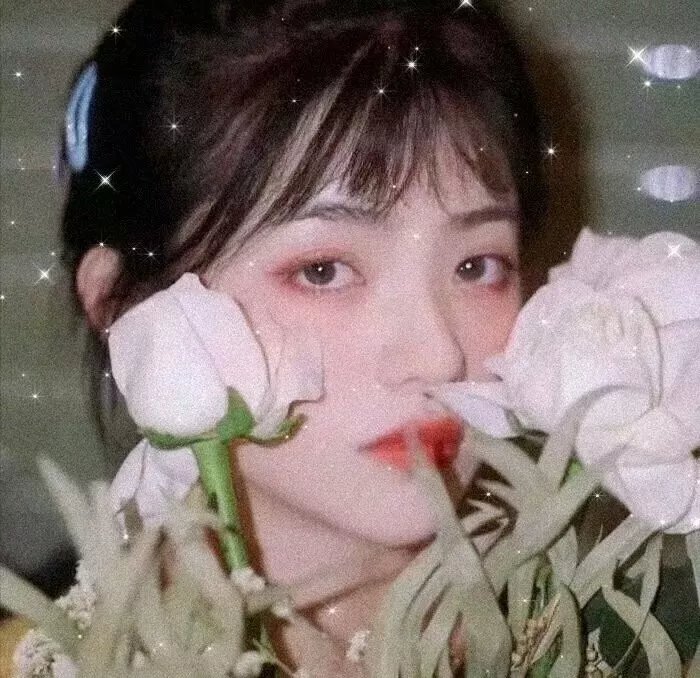 我爱古诗词第三季